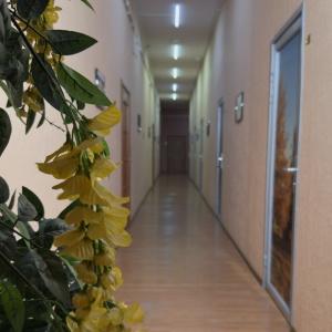 Фото Центральная