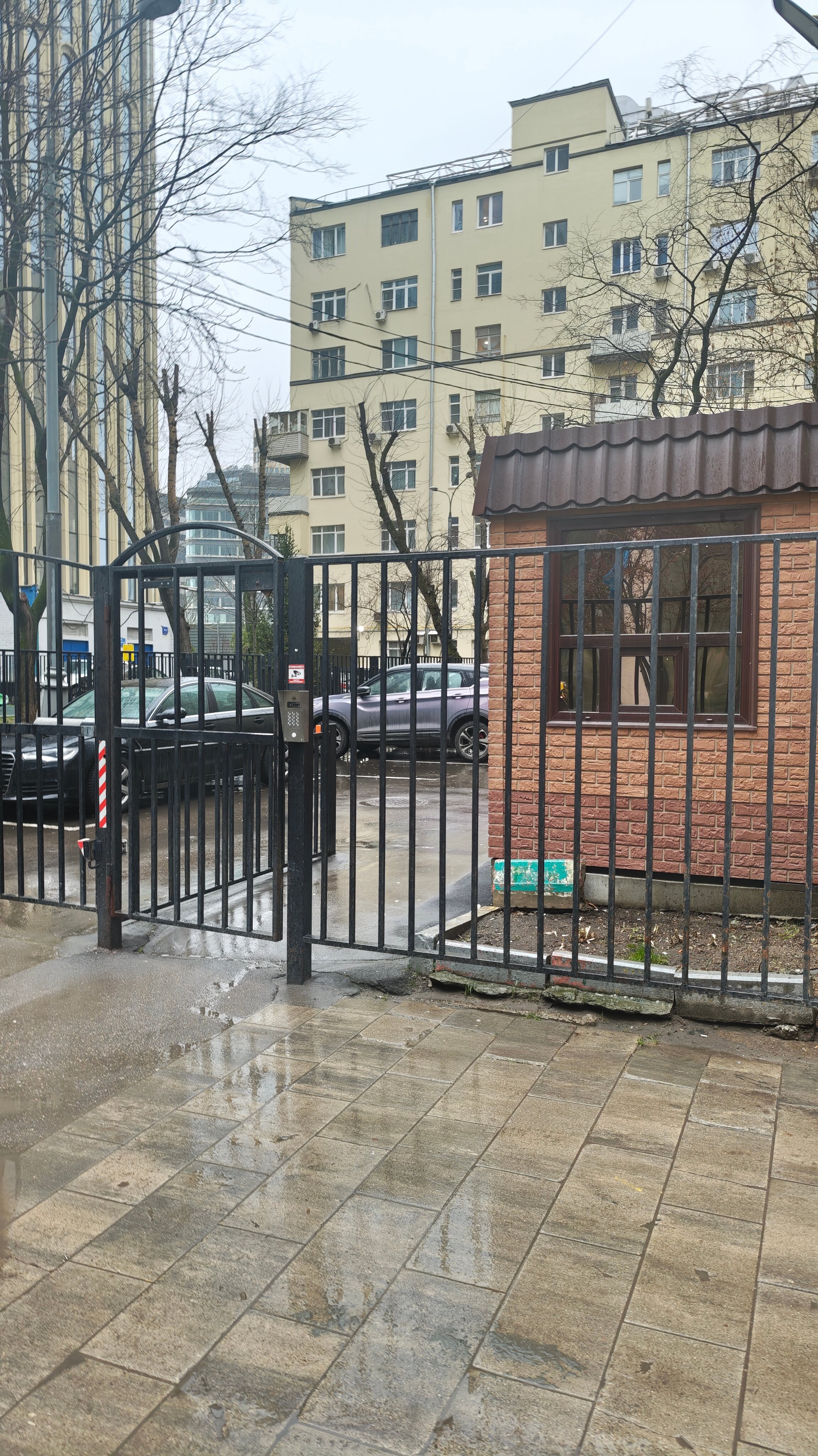 Фото Шаманка