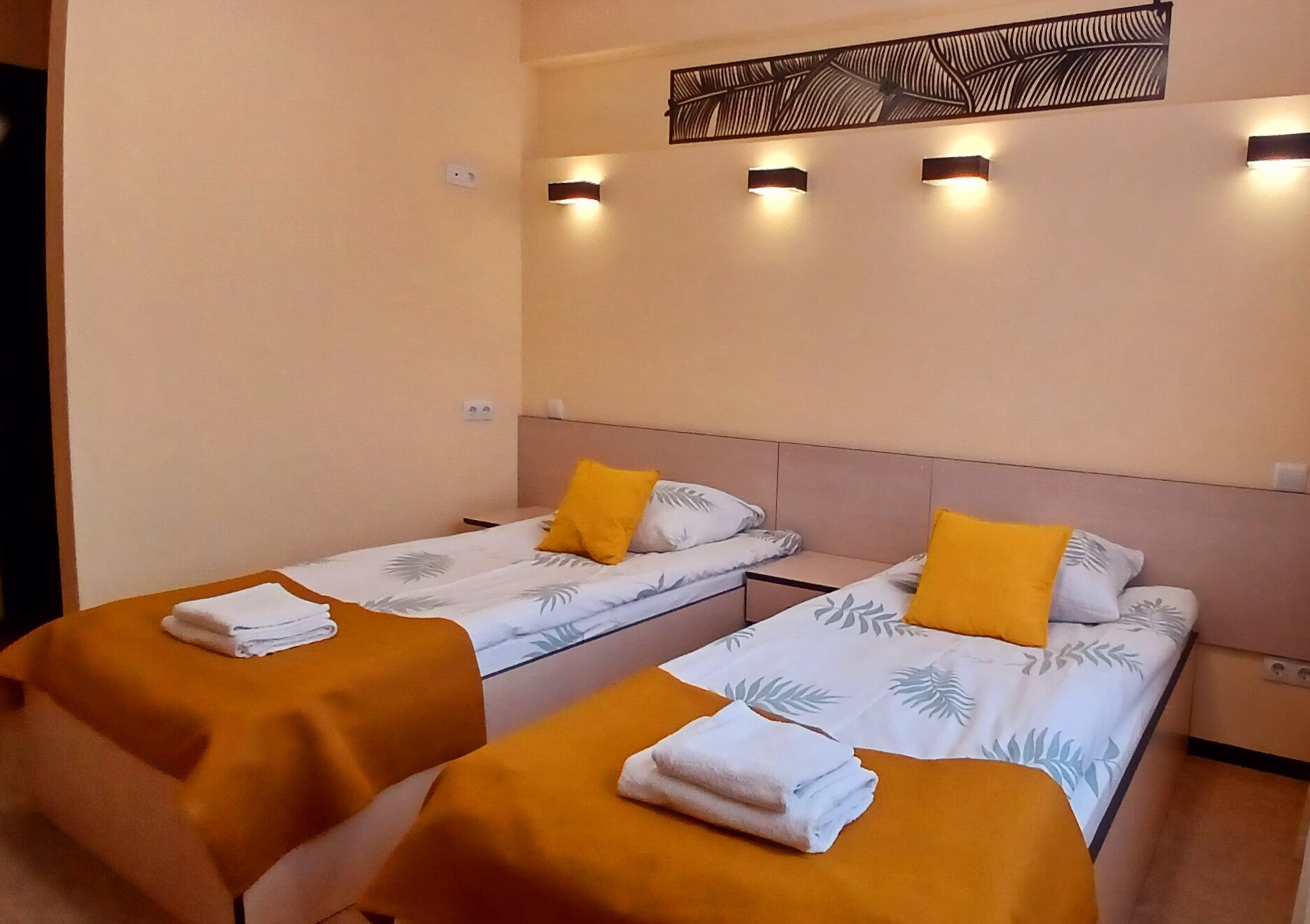 Фото Стрекоза