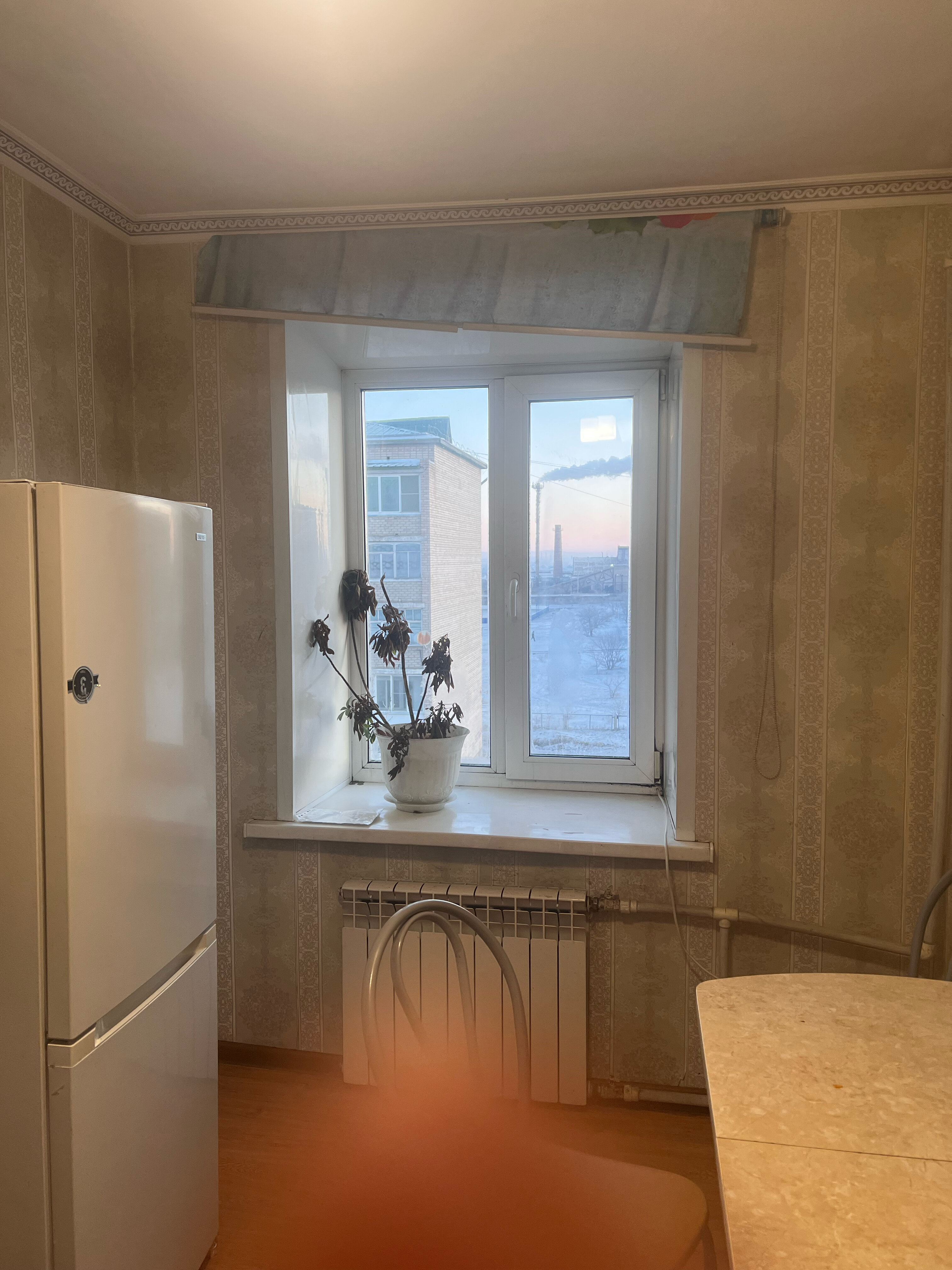 Фото Глория