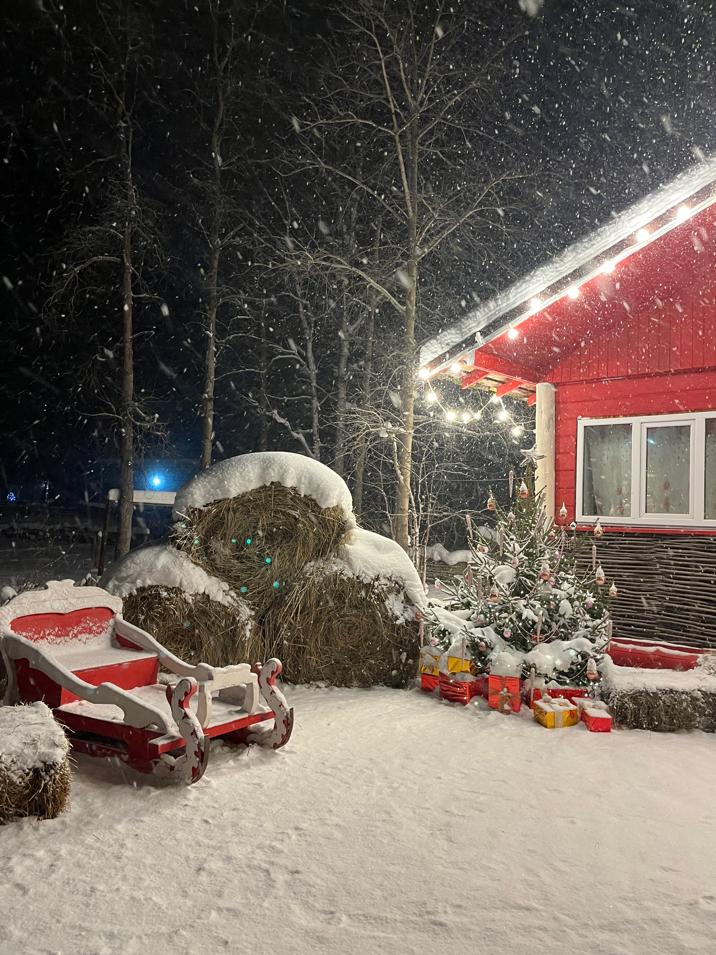 Фото Евразия