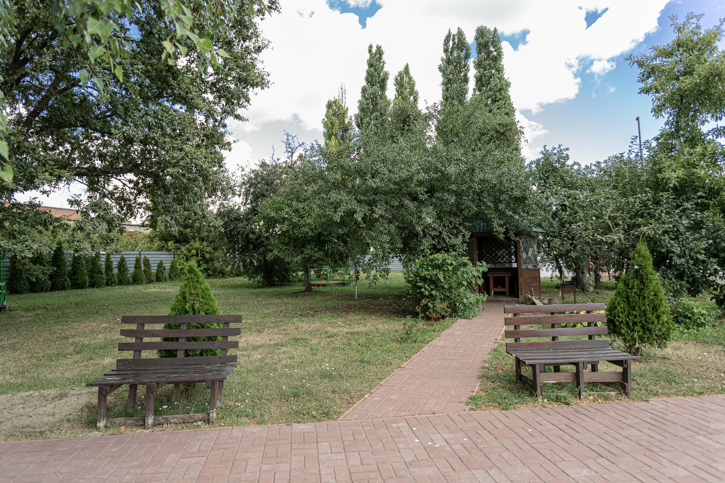 Фото Кузнечик
