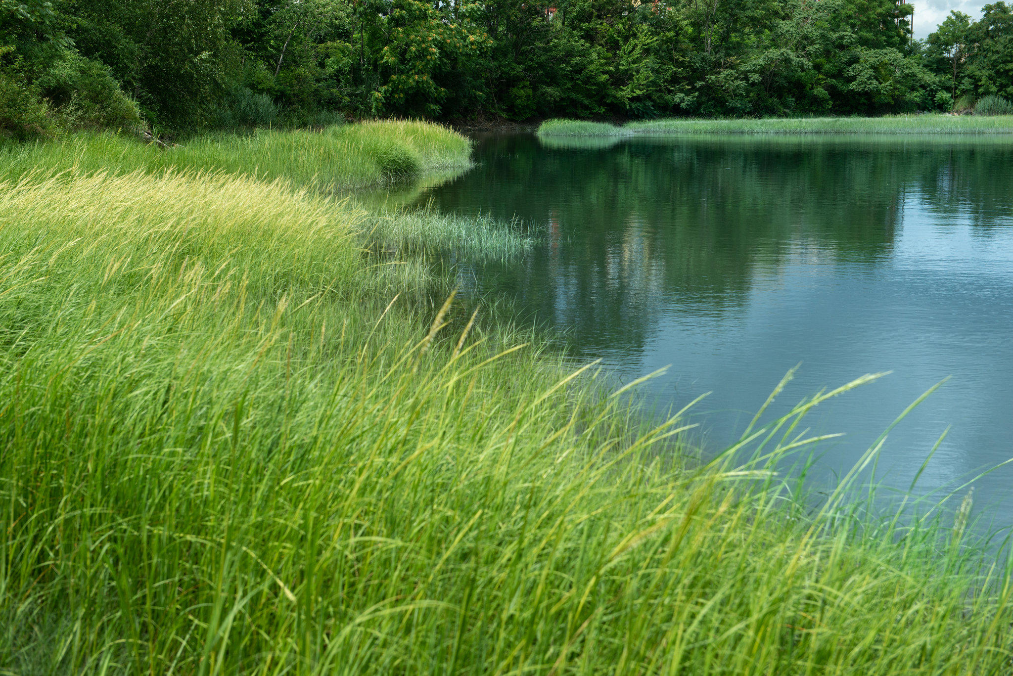 Фото Holiday Inn Boston Logan Airport - Chelsea, an Ihg Hotel