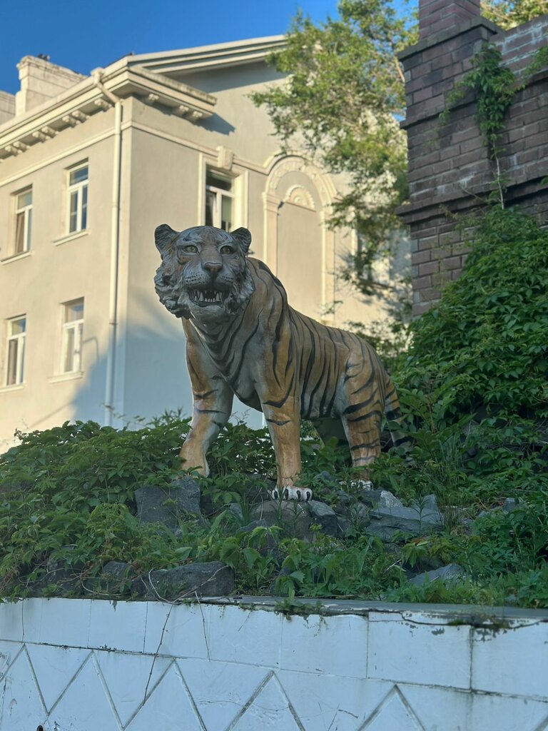 Hotel Fifth Corner, Vladivostok, photo