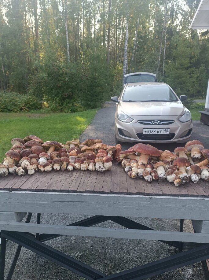 Фото Усадьба Астра