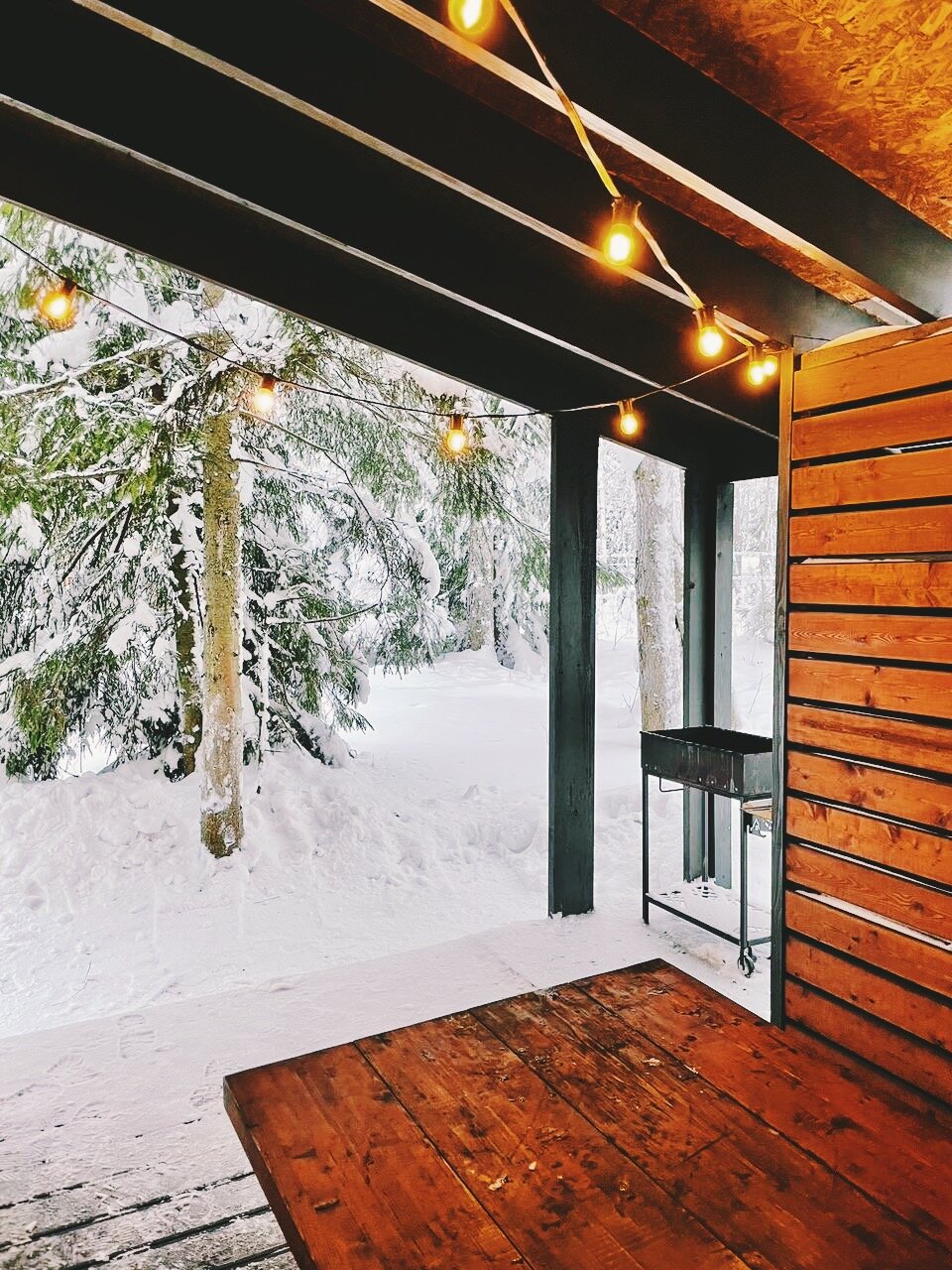 Фото Черника