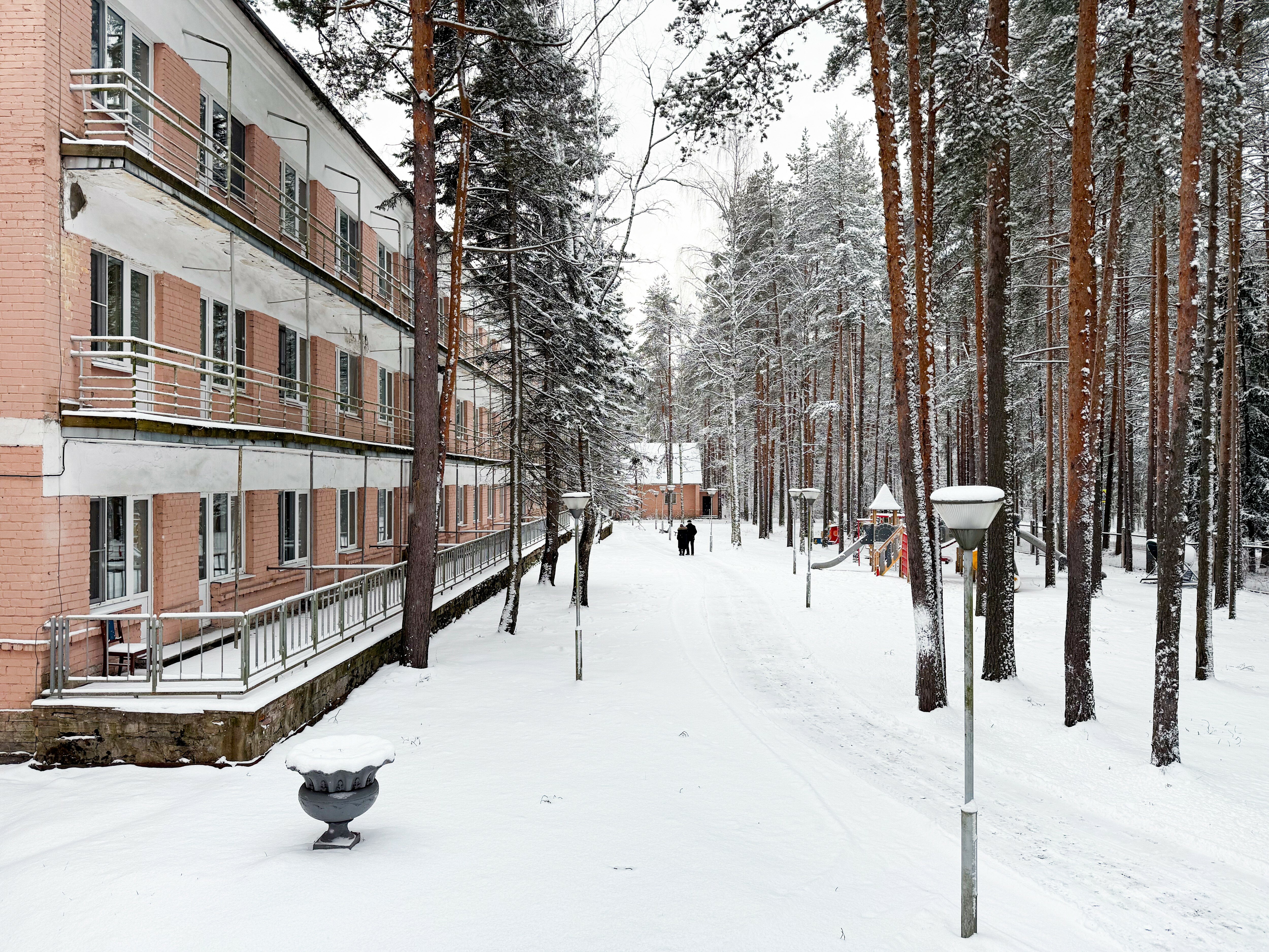 Фото Комарово