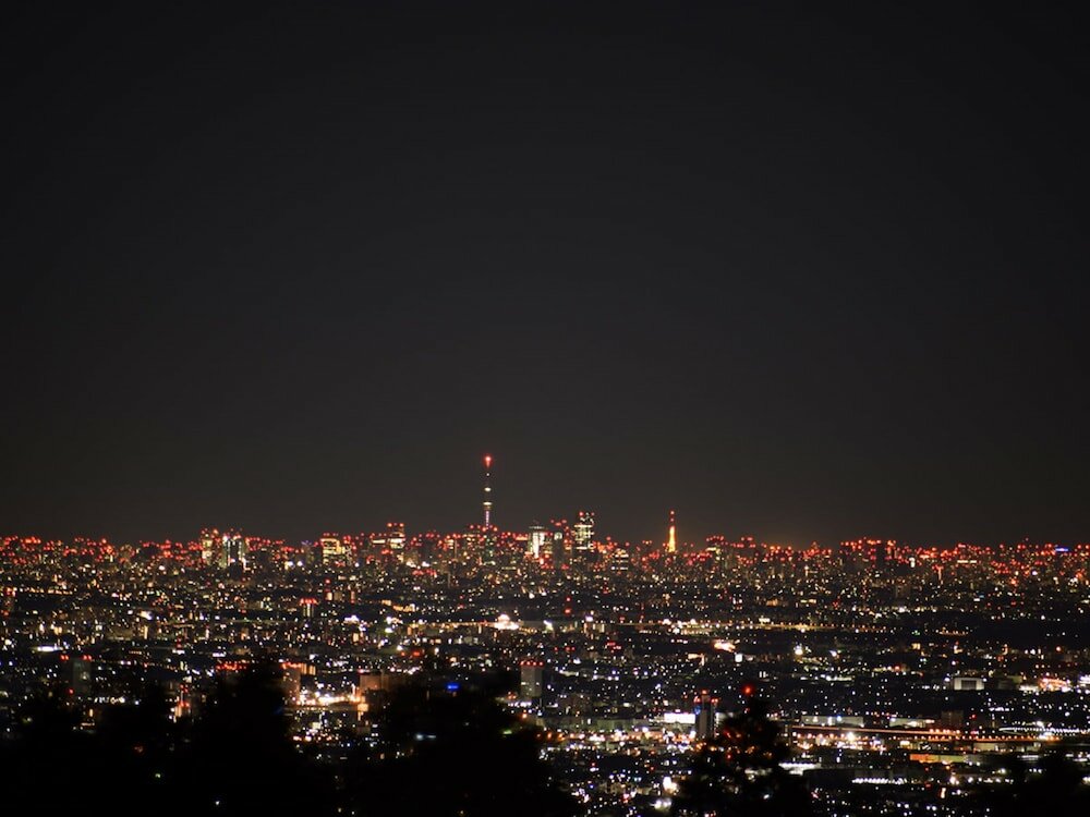 Фото Hakone Yunohana Prince Hotel