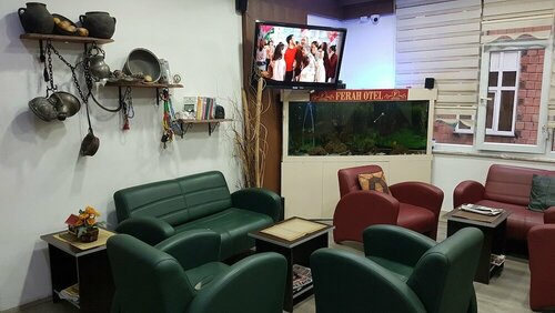 Гостиница Ferah Hotel в Дернекпазары