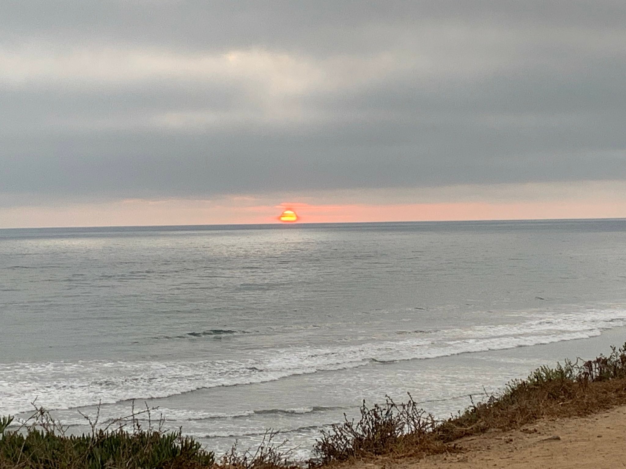 Фото Holiday Inn Express Hotel & Suites Carlsbad Beach, an Ihg Hotel