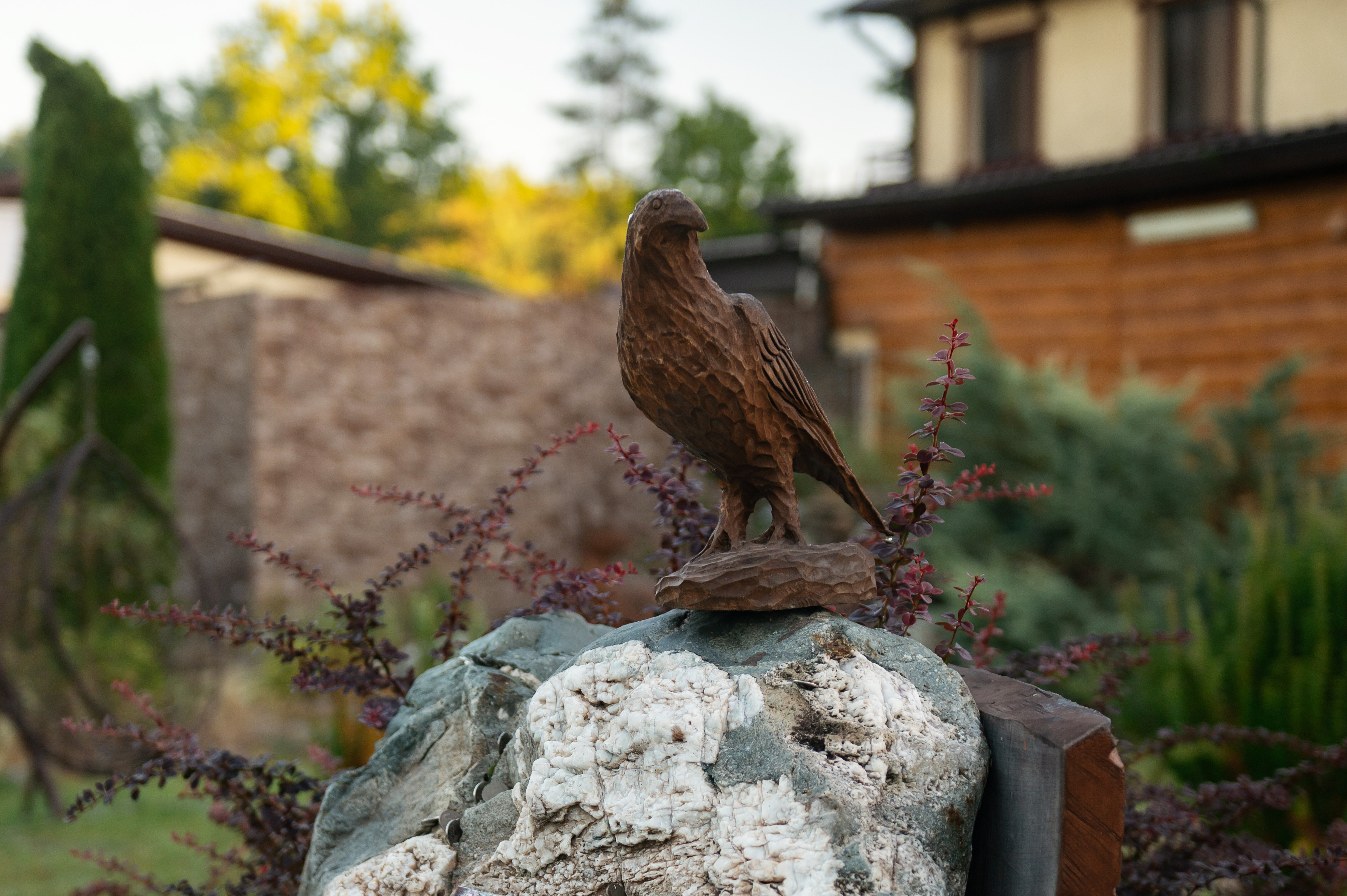 Фото Павлова поляна