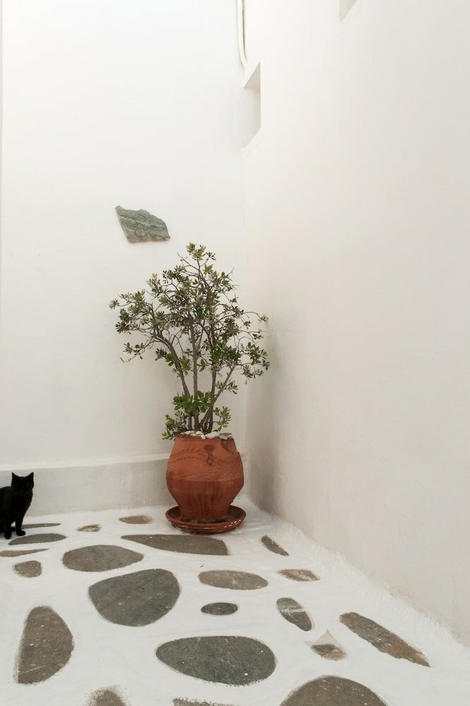 Фото Andriani'S Guest House