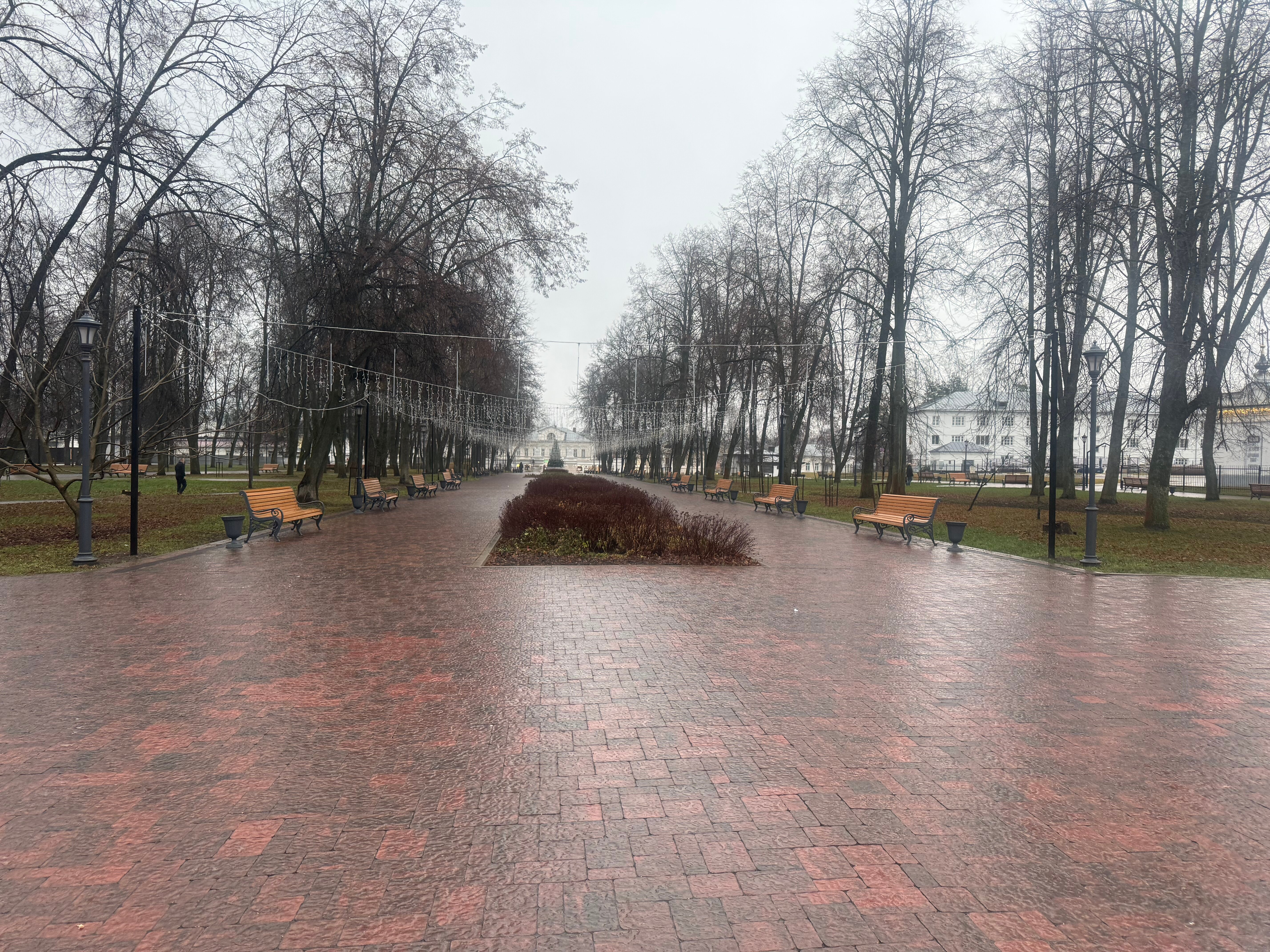 Фото Рыбные ряды