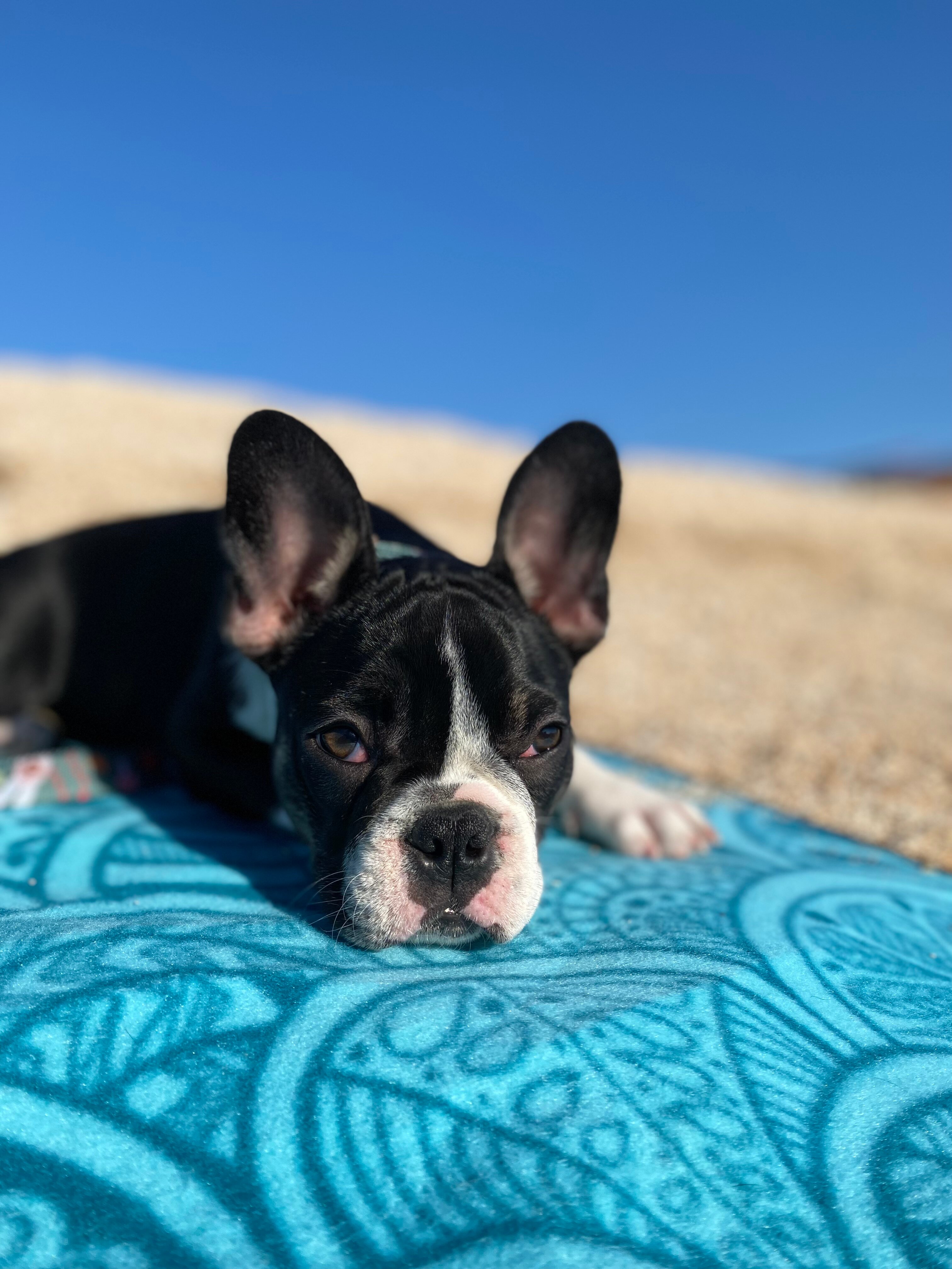 Фото Отпуск