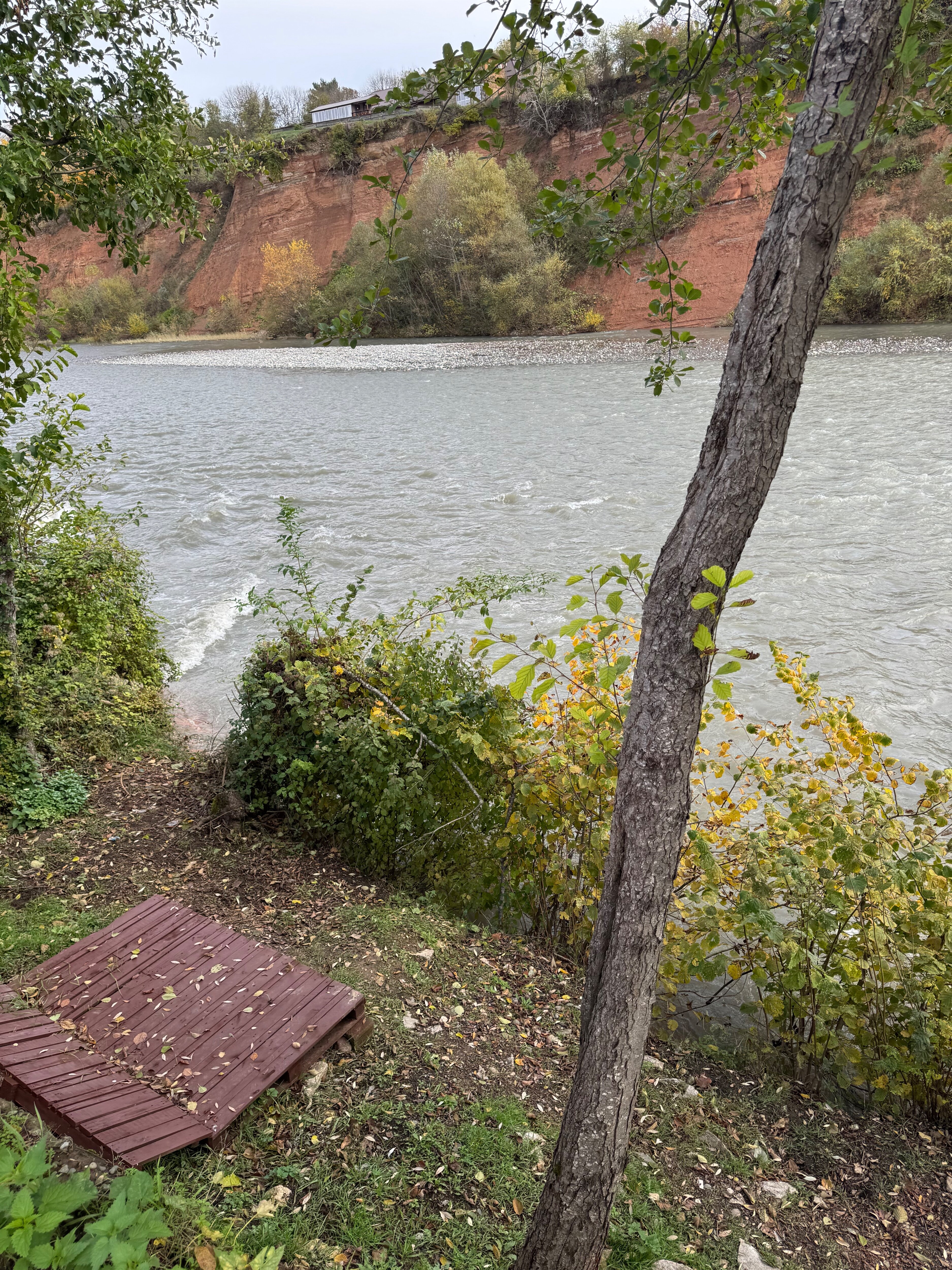 Фото Отдых у реки