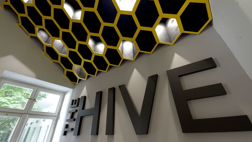 Фото The Hive Party Hostel