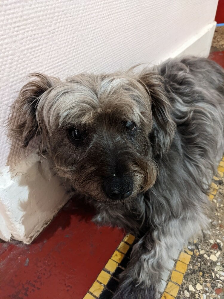 Фото Hotel Victor Hugo