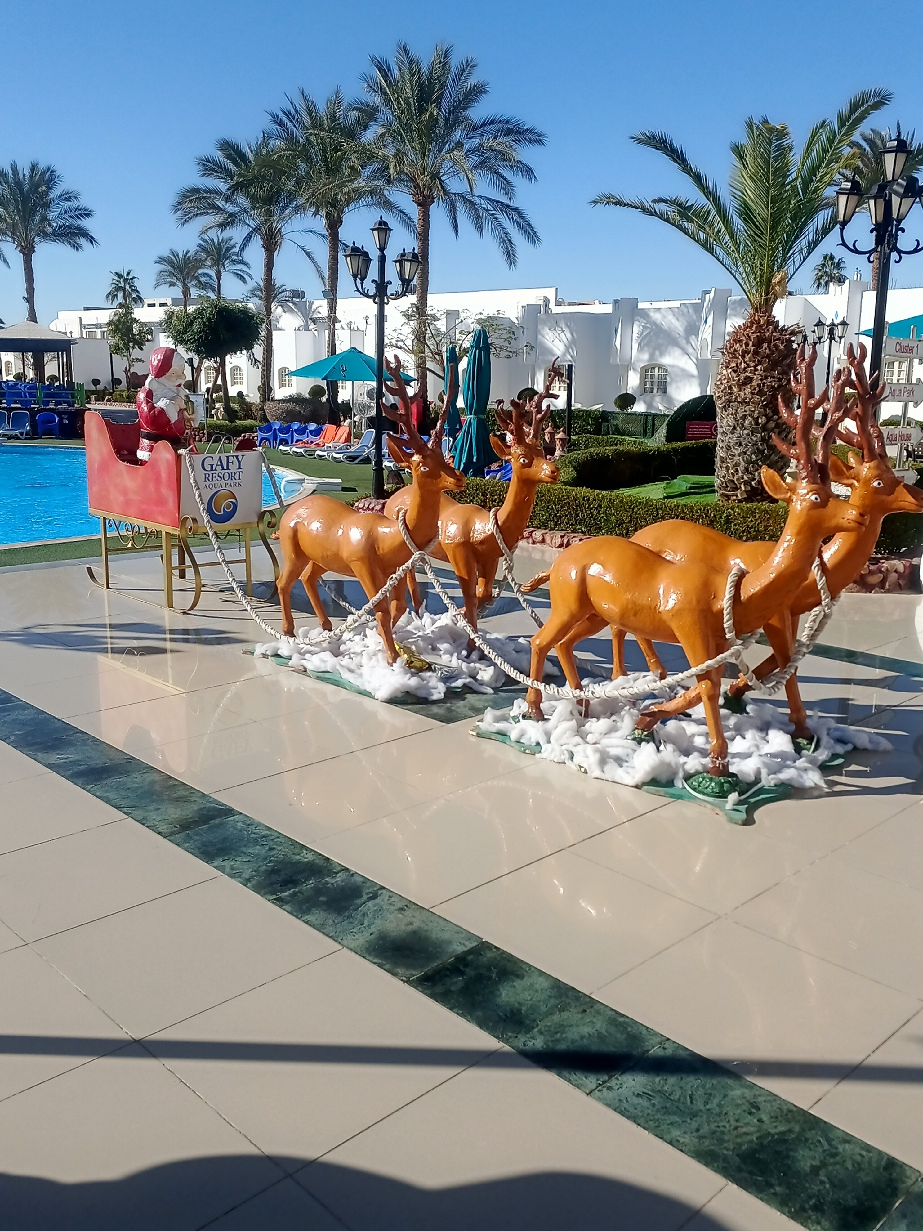 Фото Gafy Resort