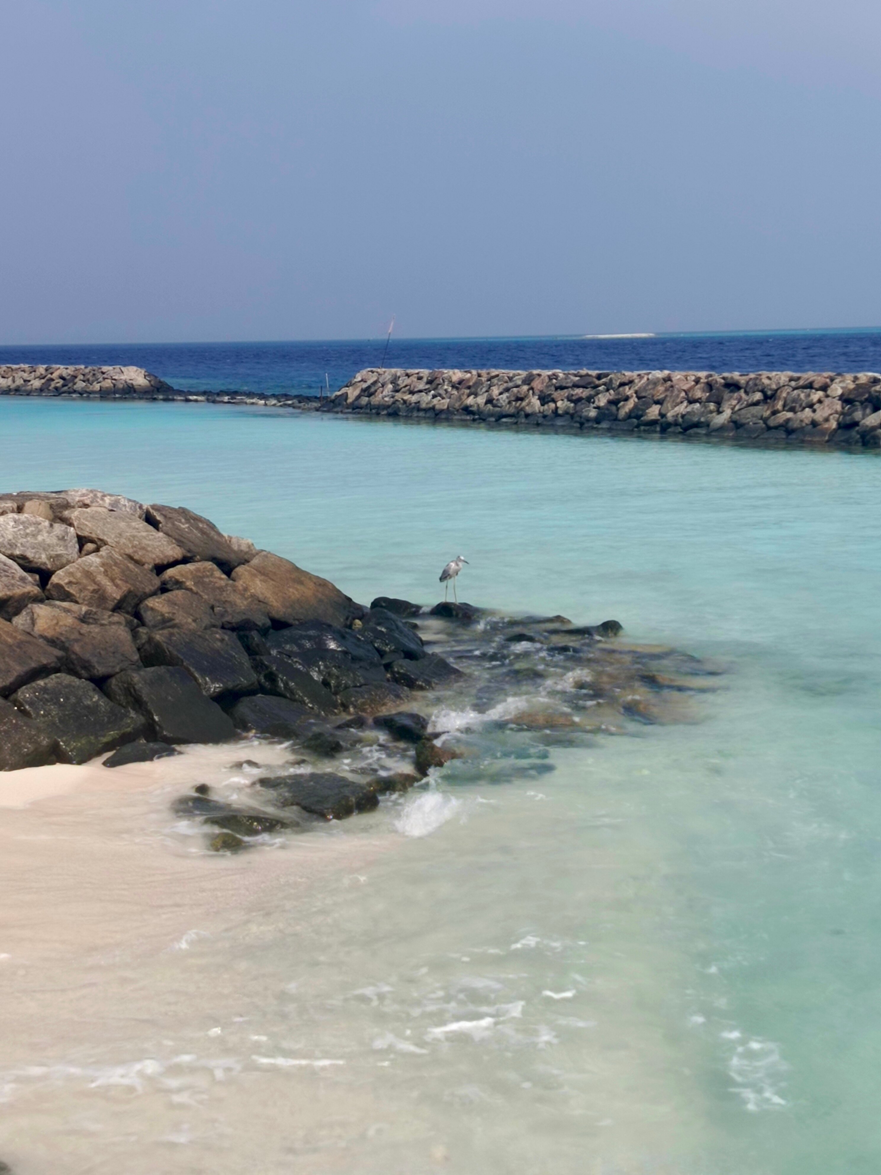 Фото Season Paradise