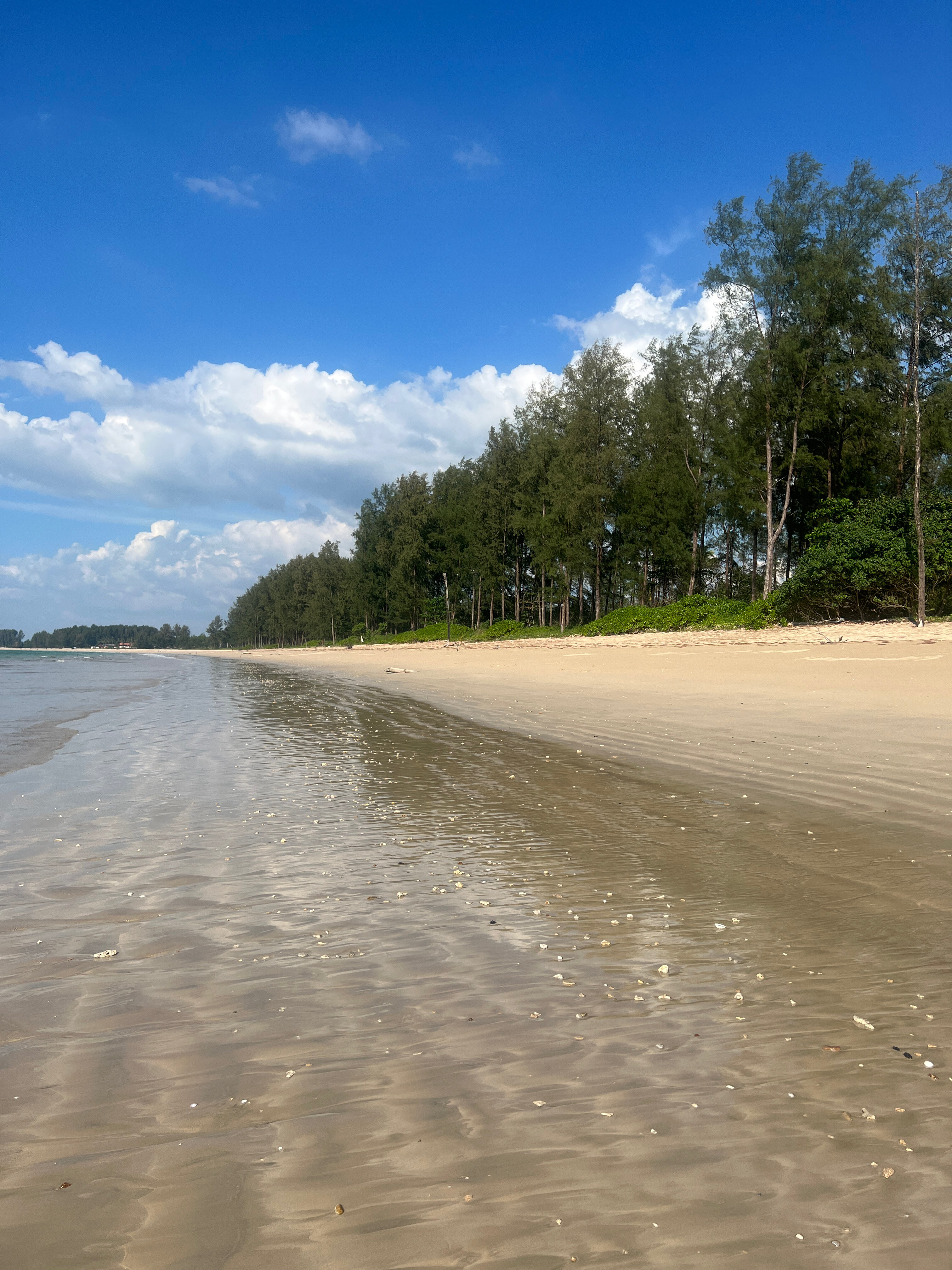 Фото Khao Lak Marriott Beach Resort & SPA