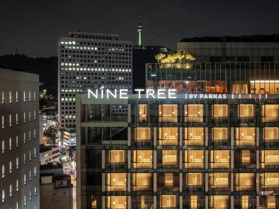 Фото Nine Tree Premier Hotel Myeongdong II