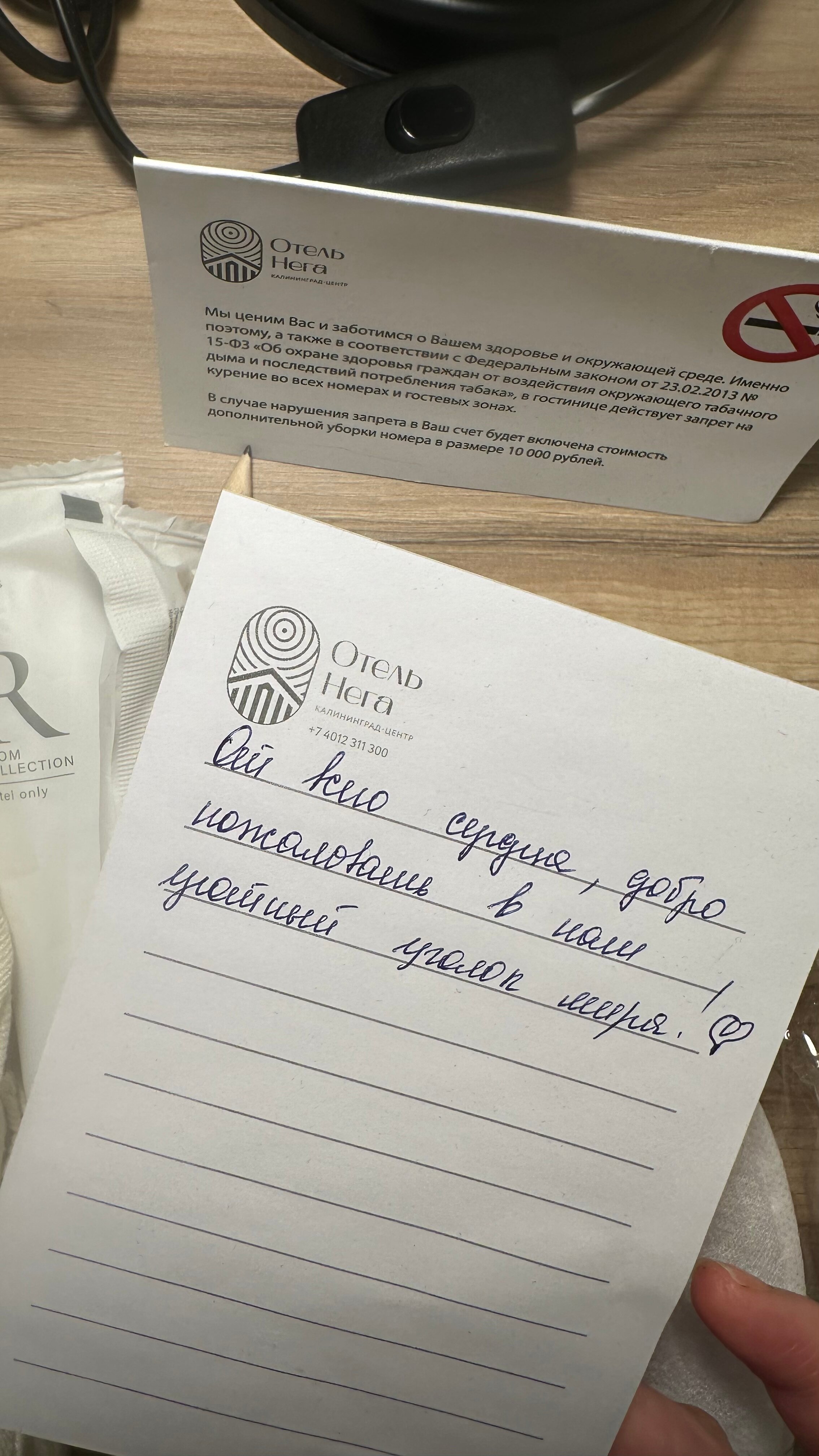 Фото Отель Нега