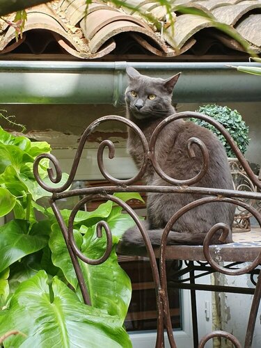 Внешний вид отеля Boquier в Авиньоне, фото 4