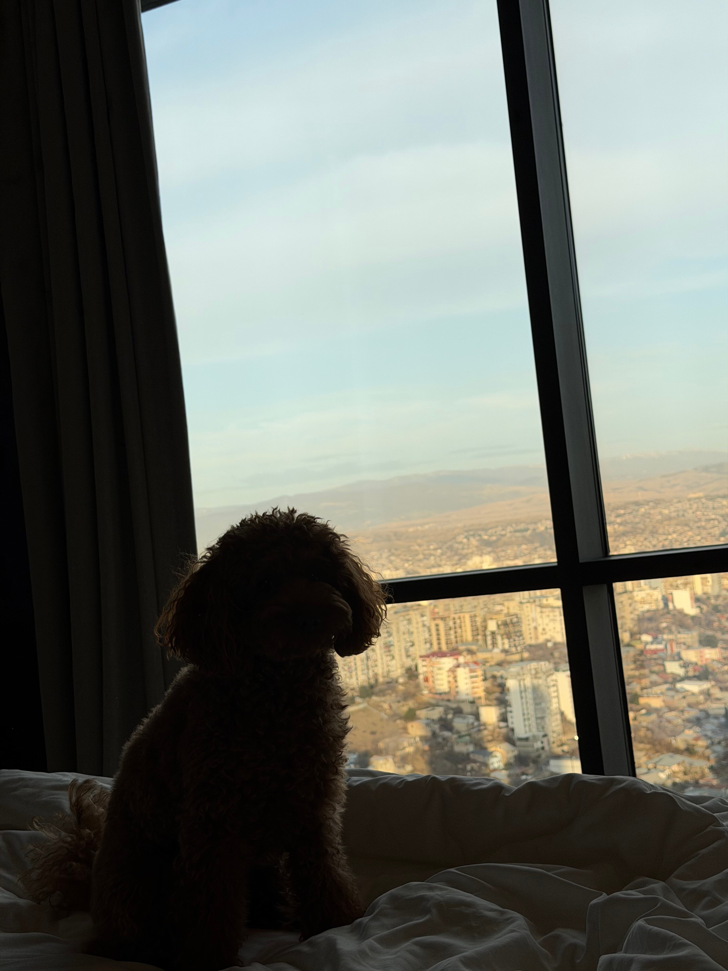 Фото Pullman Tbilisi Axis Towers