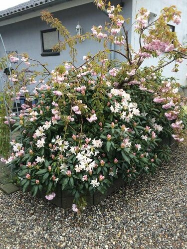 Гостиница Svalegaarden Bed & Breakfast в Южной Дании