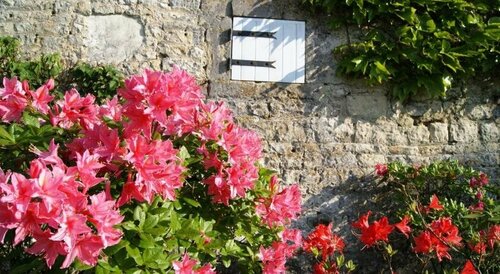 Гостиница Le Manoir de La Pataudière B&b в Аржентане
