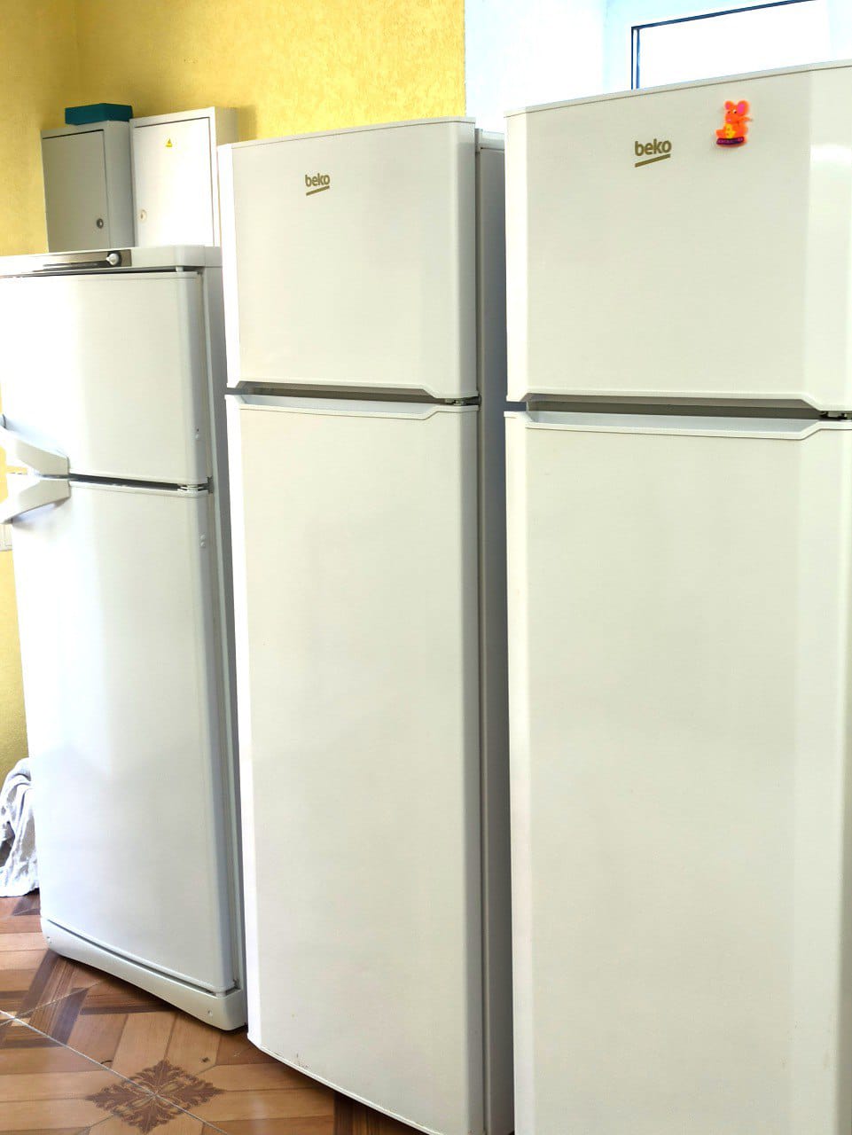 Фото Солнечный