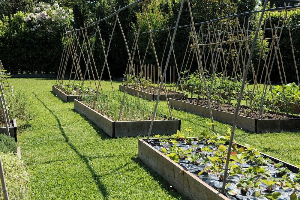 Фото Hermitage Hotel & Resort