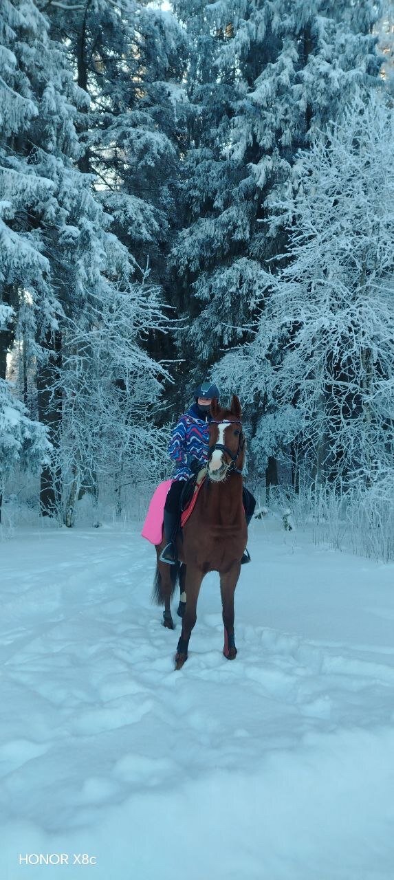 Фото Монтенегро