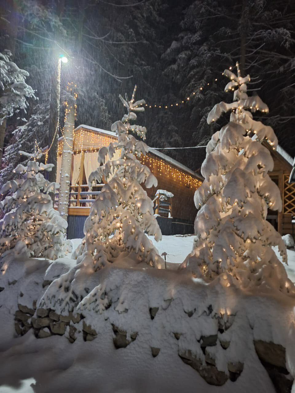 Фото Амелия Резорт