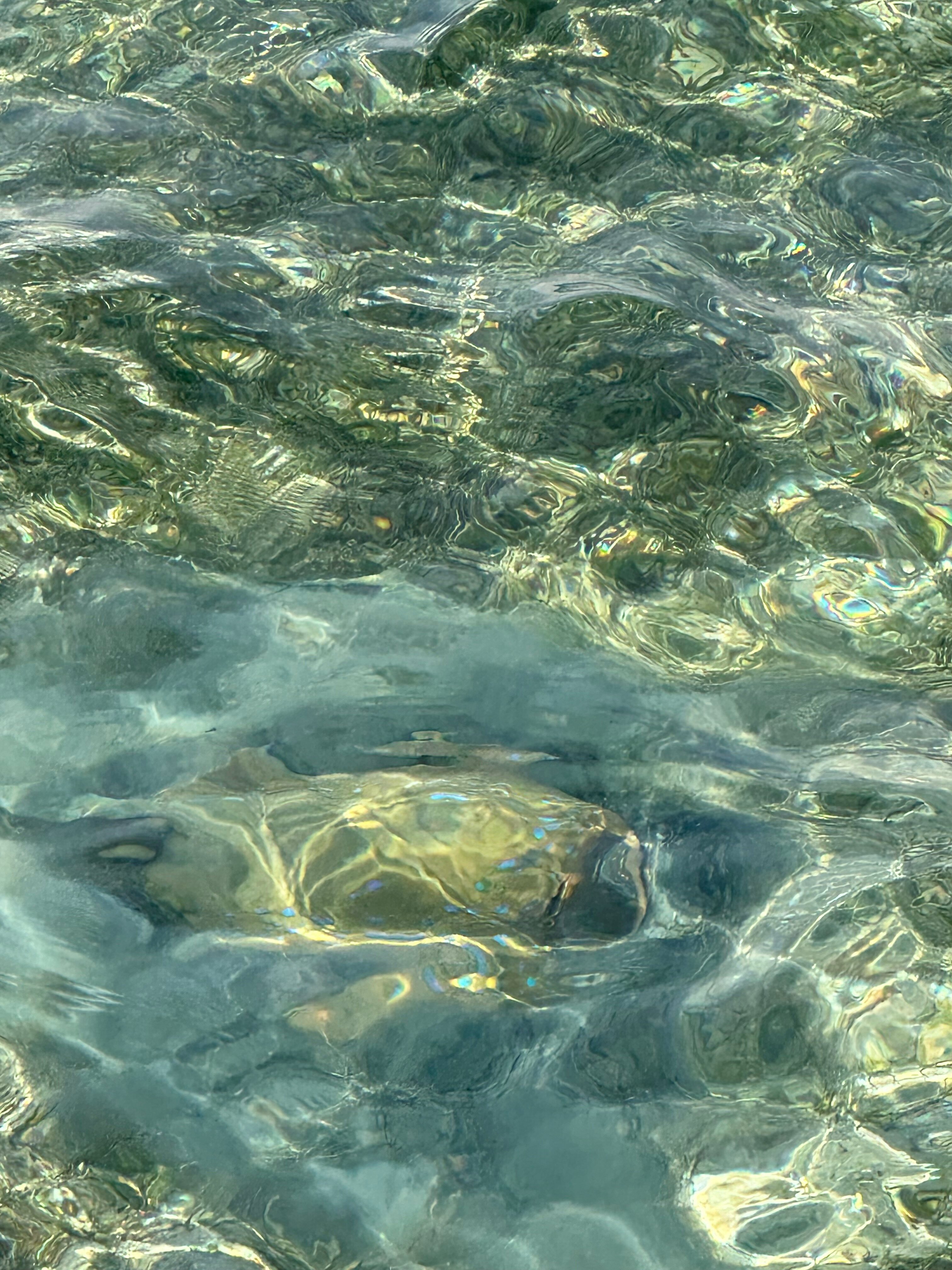 Фото Stella Gardens Resort & SPA