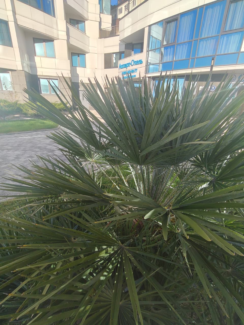 Фото Апарт-отель Симфония