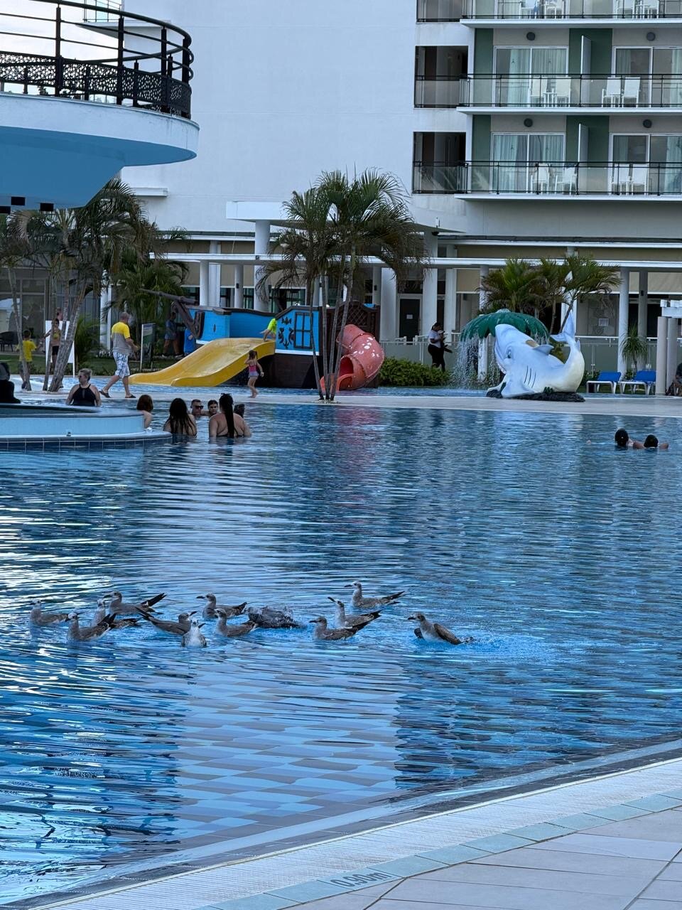 Фото Melia Internacional