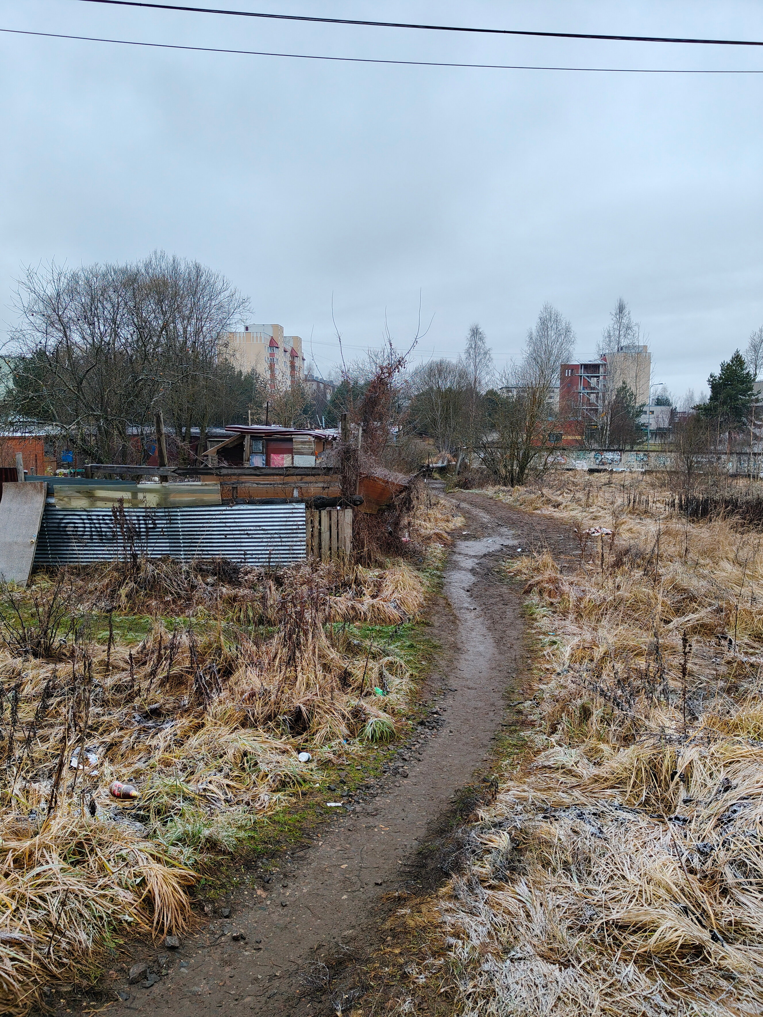 Фото Делики