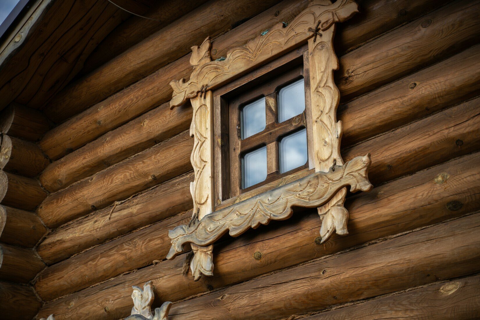 Фото Аристократ