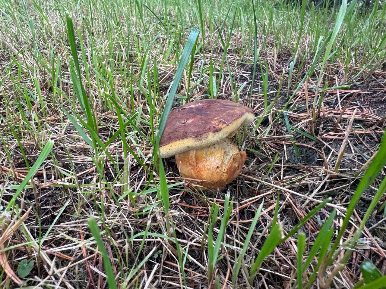 Фото Райский уголок