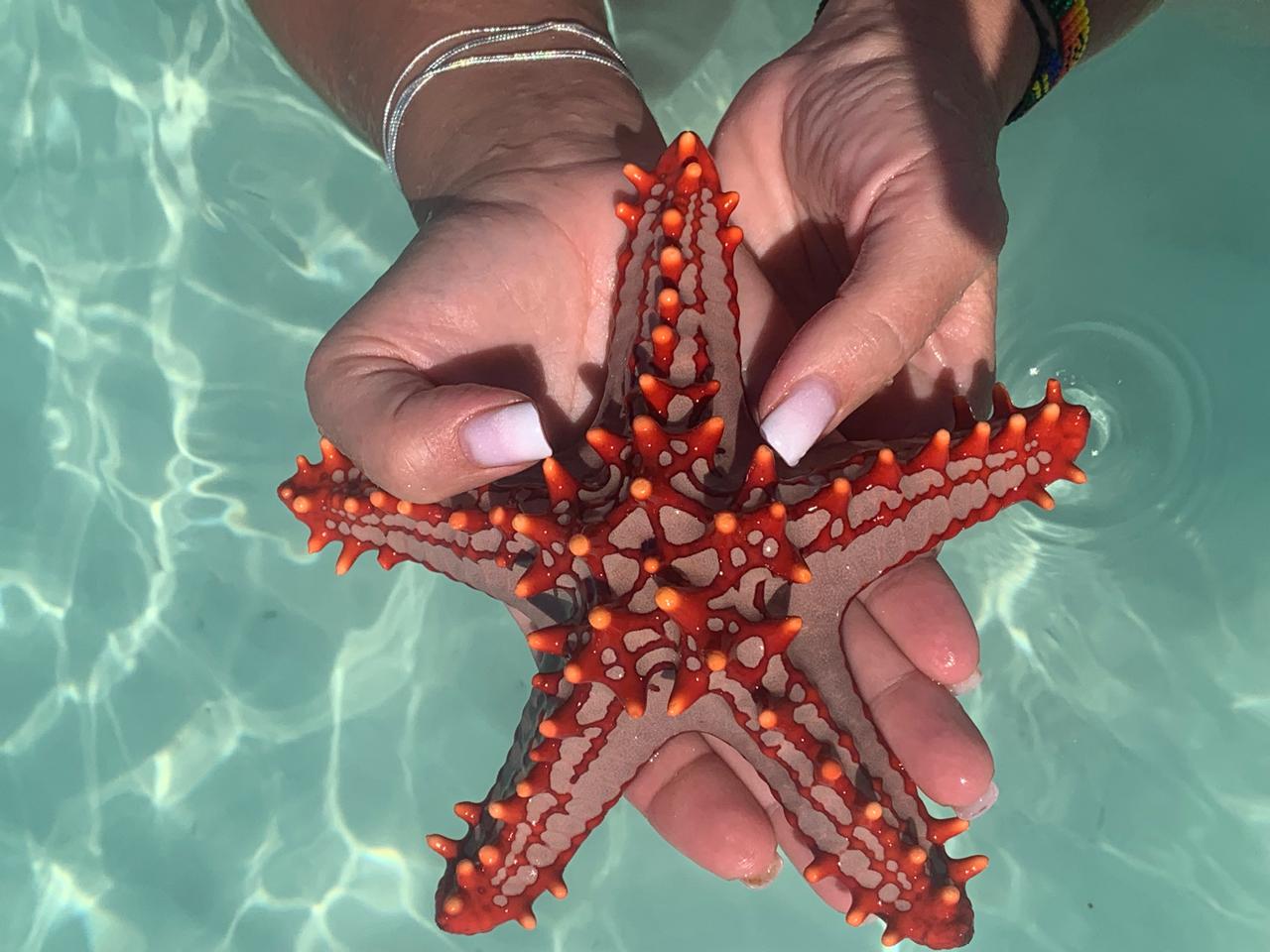 Фото Amaan Nungwi Hotel