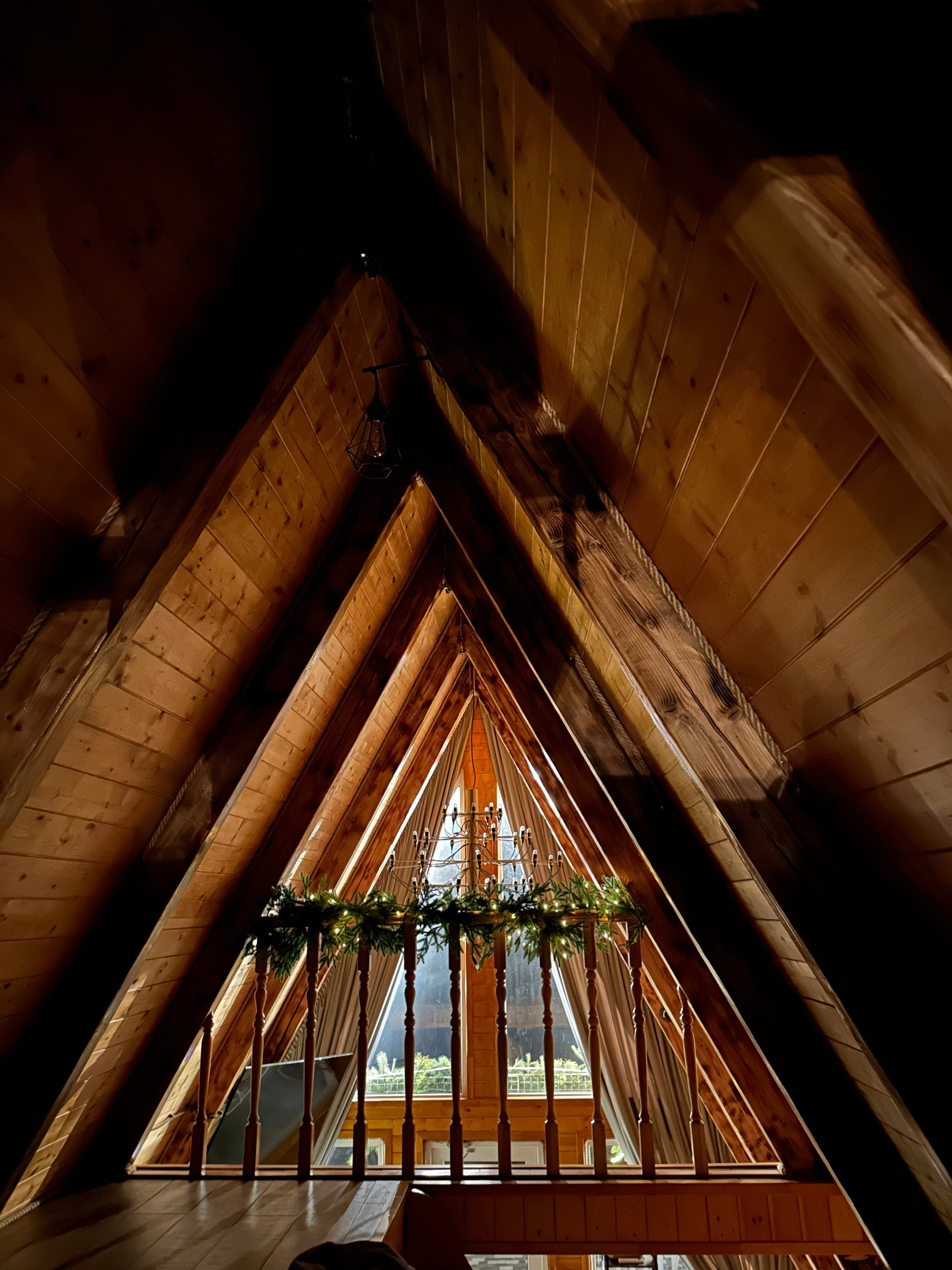 Фото Приморка Глэмп