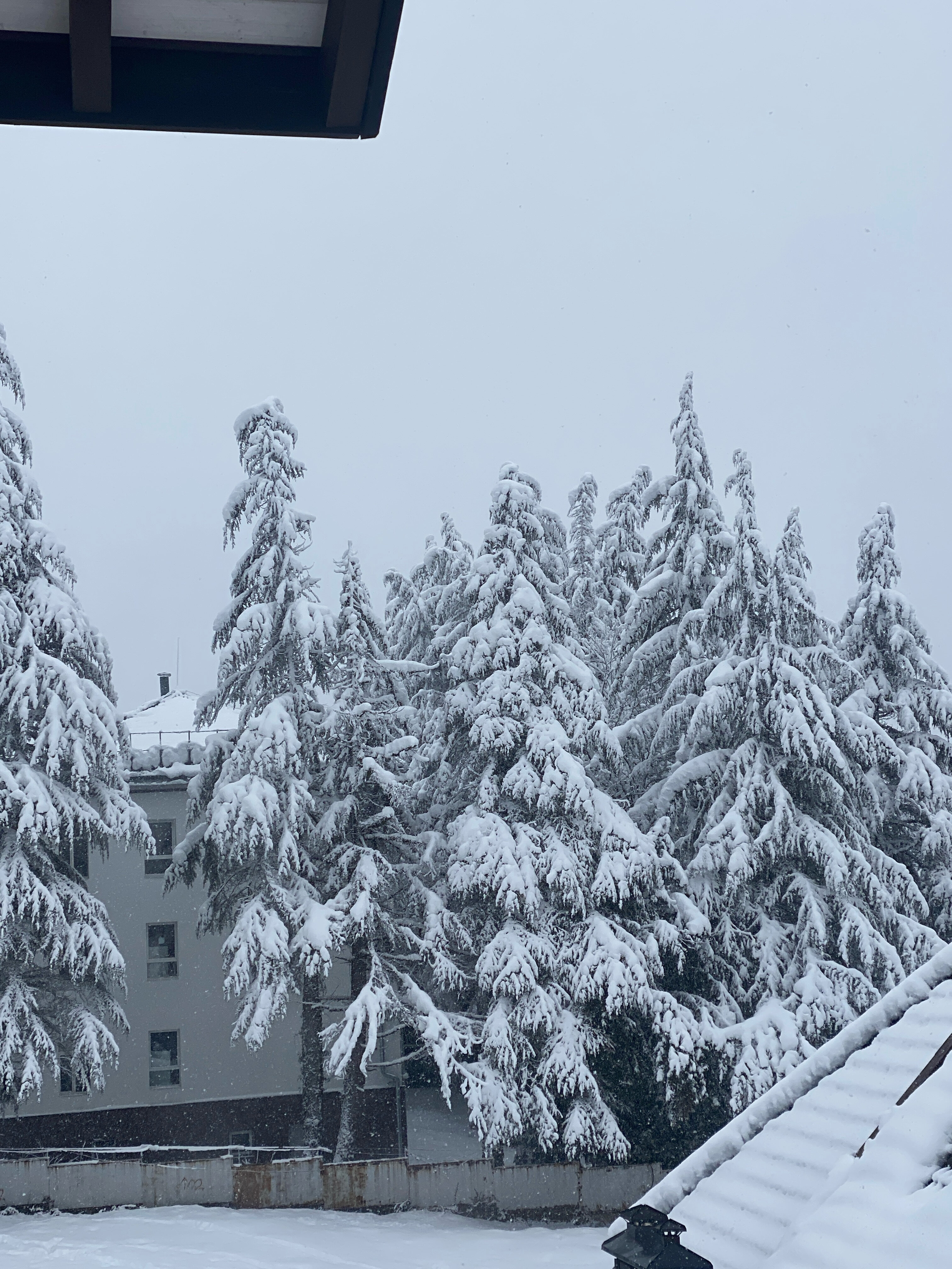 Фото Apart Поляна