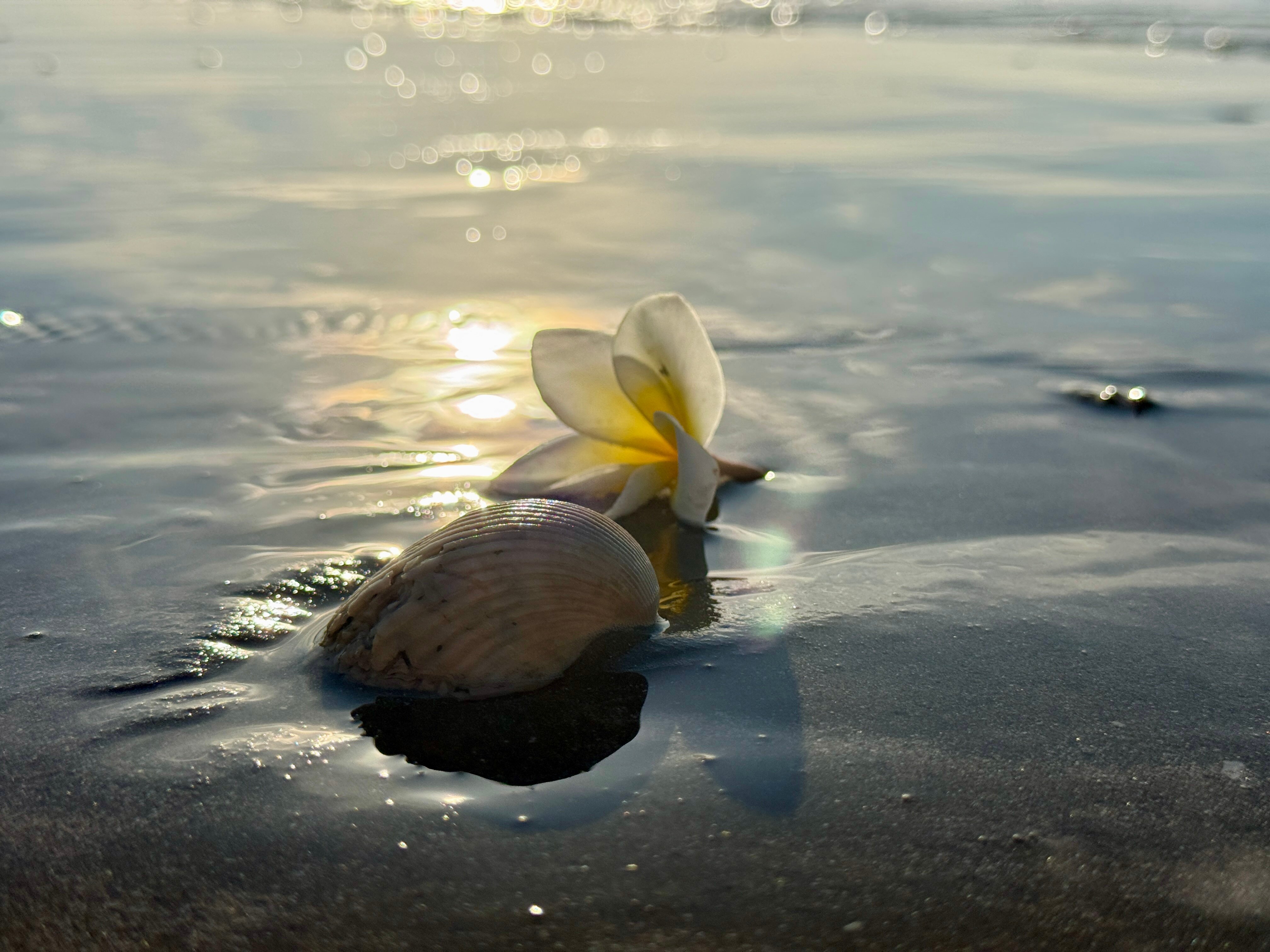 Фото Dynasty Beach Mui Ne Resort
