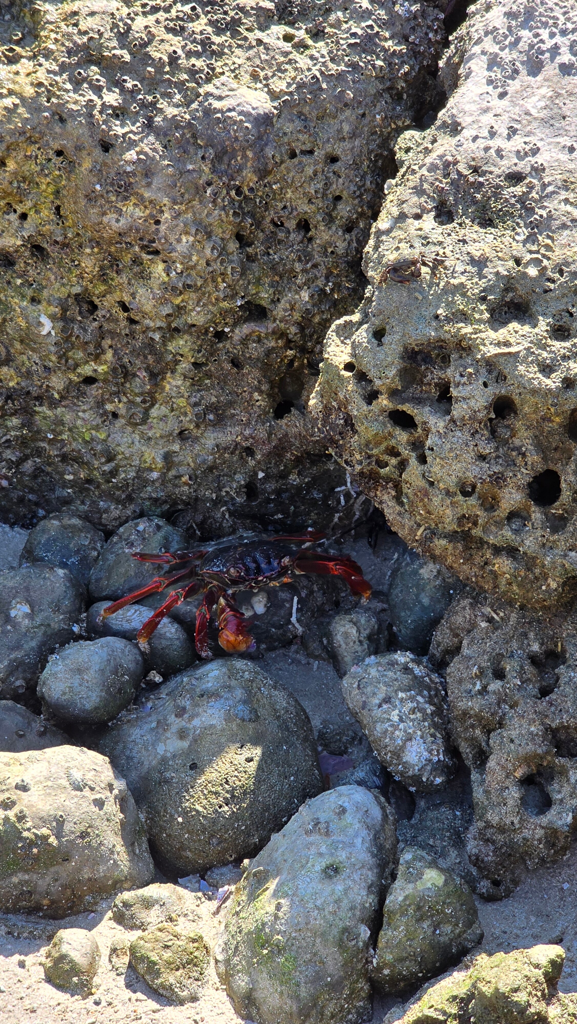 Фото Fanar Hotel & Residences