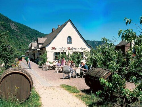 Гостиница Weingut Gutsschänke Rademacher в Кохеме