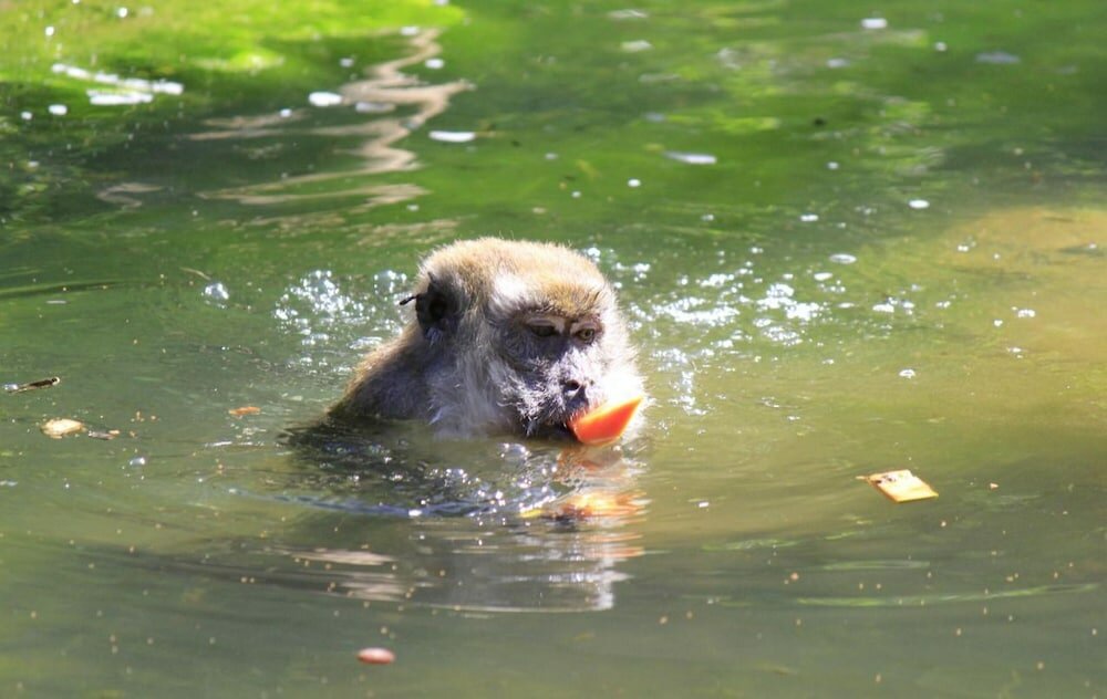 Фото Days Inn by Wyndham Florida City