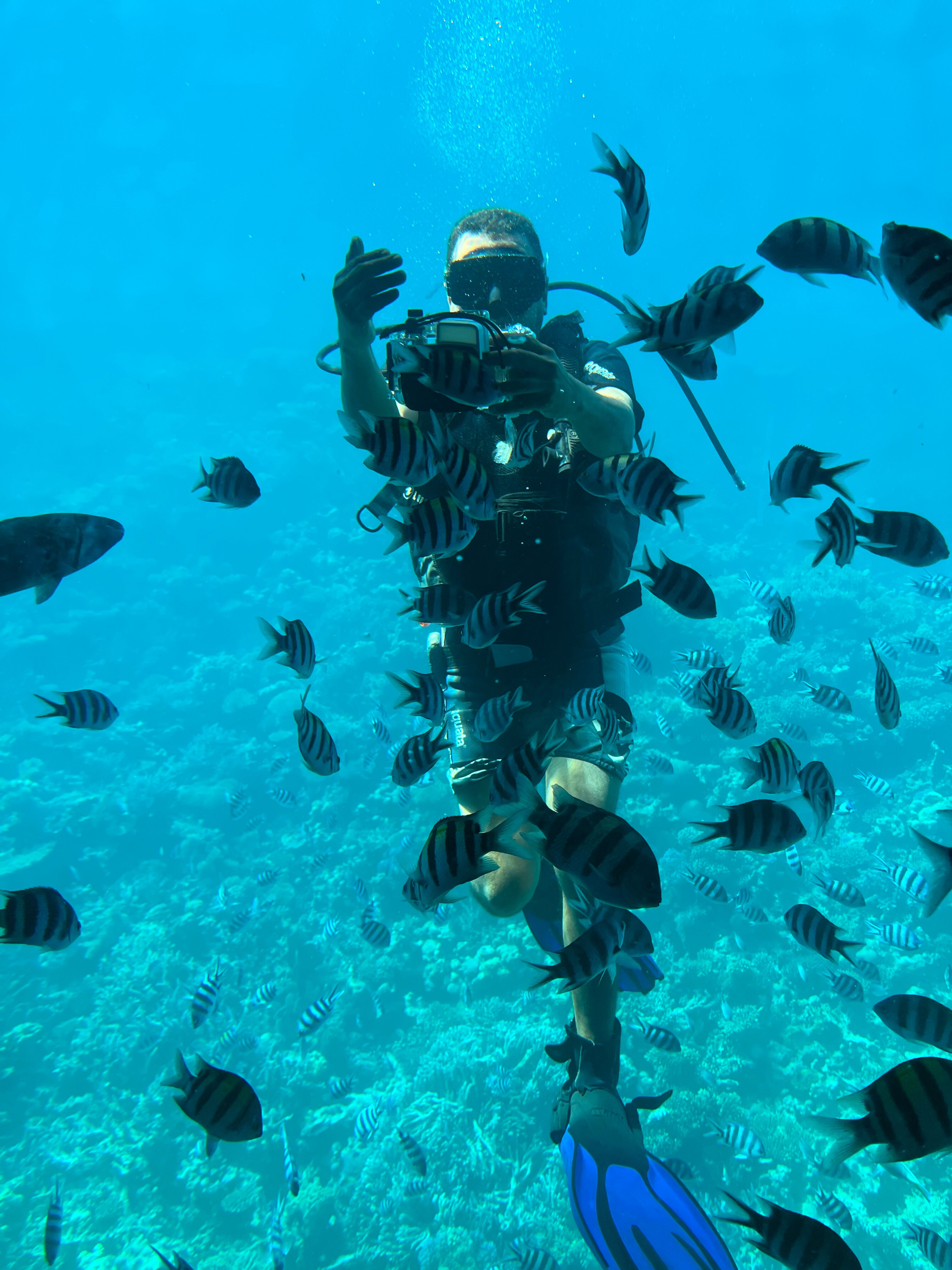 Фото Pickalbatros Dana Beach Resort - Hurghada