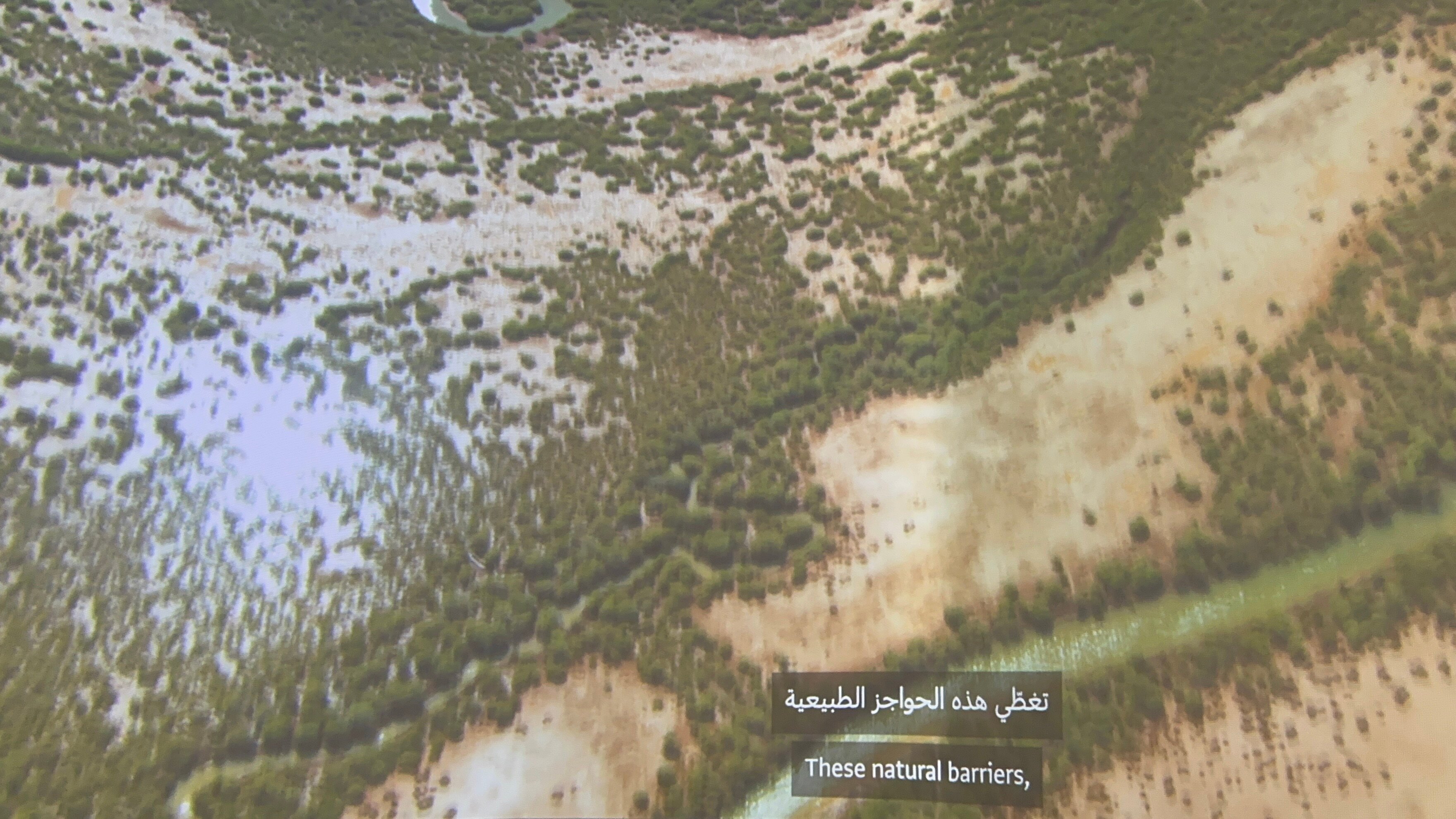 Фото Royal Rose Abu Dhabi, a Curio Collection by Hilton Affiliated Hotel