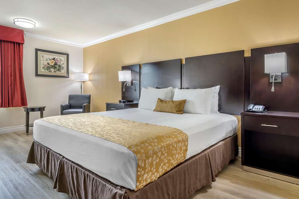 Фото Best Western Plus South Bay Hotel